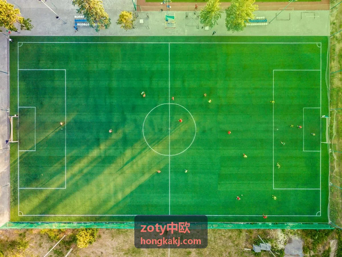 zoty中欧国际物流